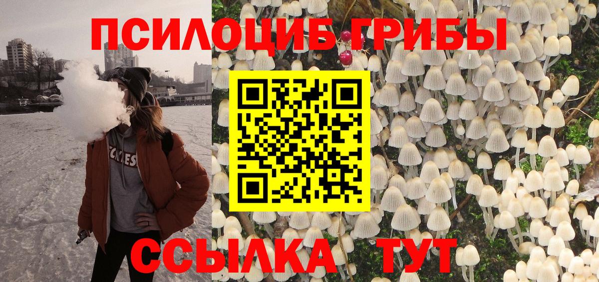 Касимов  Галлюциногенные грибы мухоморы  Вход с VPN 